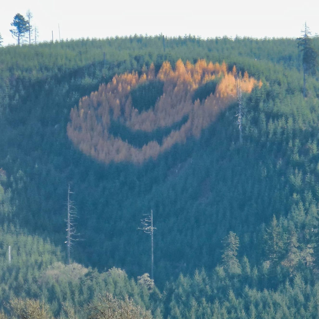 Beauty and Positivity Project Day 340 - A Giant Happy Face on a Hillside Made of Trees
