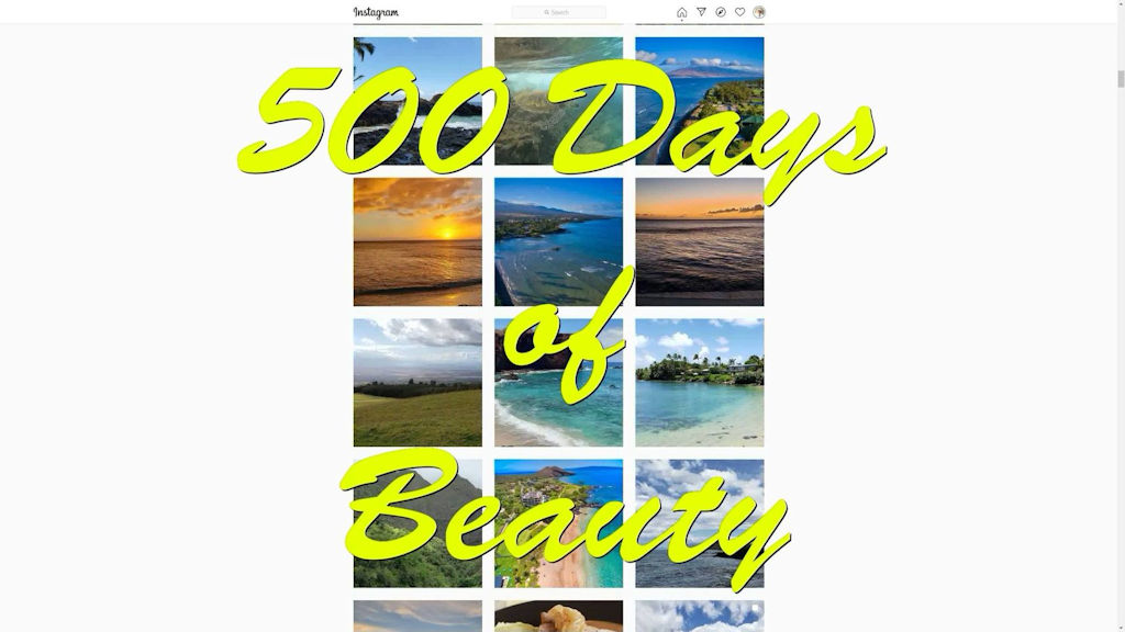 Beauty and Positivity Day 500