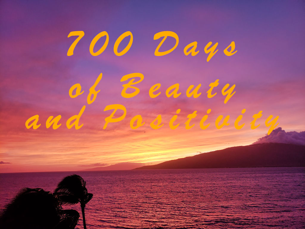 Beauty and Positivity Day 700